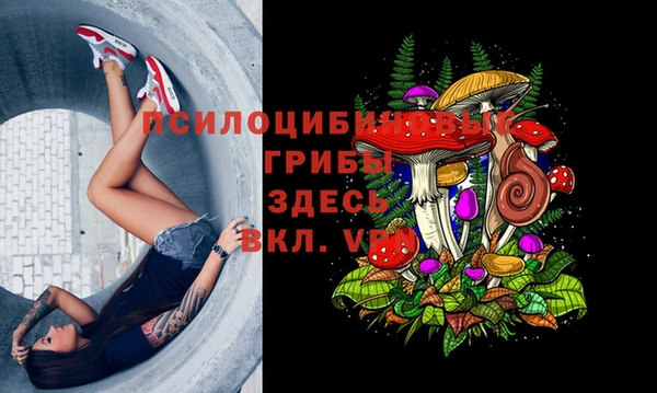 метадон Арсеньев