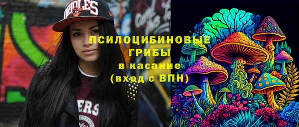 метадон Арсеньев