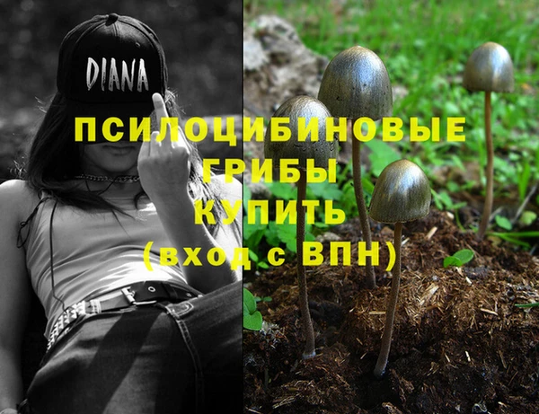 jwh Аркадак